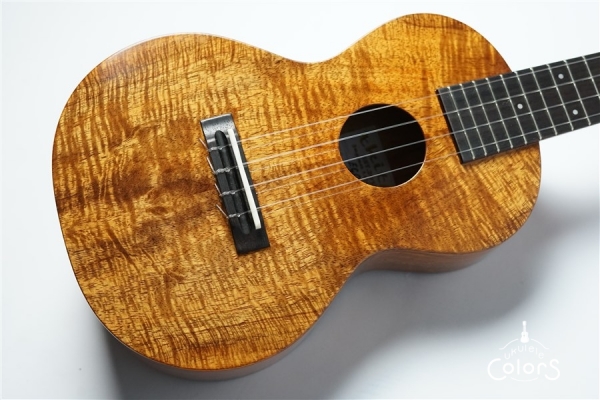 ECO-C+ - Koa